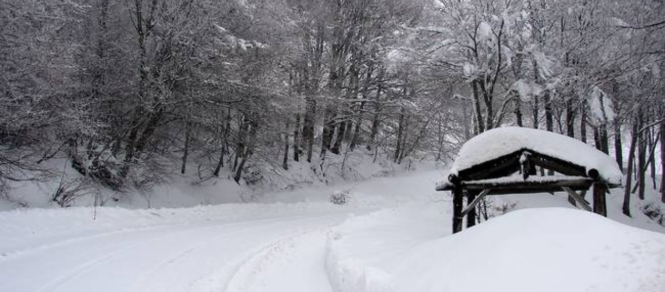 Πολικές θερμοκρασίες και χιόνια σε όλη τη χώρα - Υπό το μηδέν η Μακεδονία